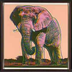 Andy Warhol - African Elephant Aus Endangered Species, 76524-1, Van Ham Kunstauktionen
