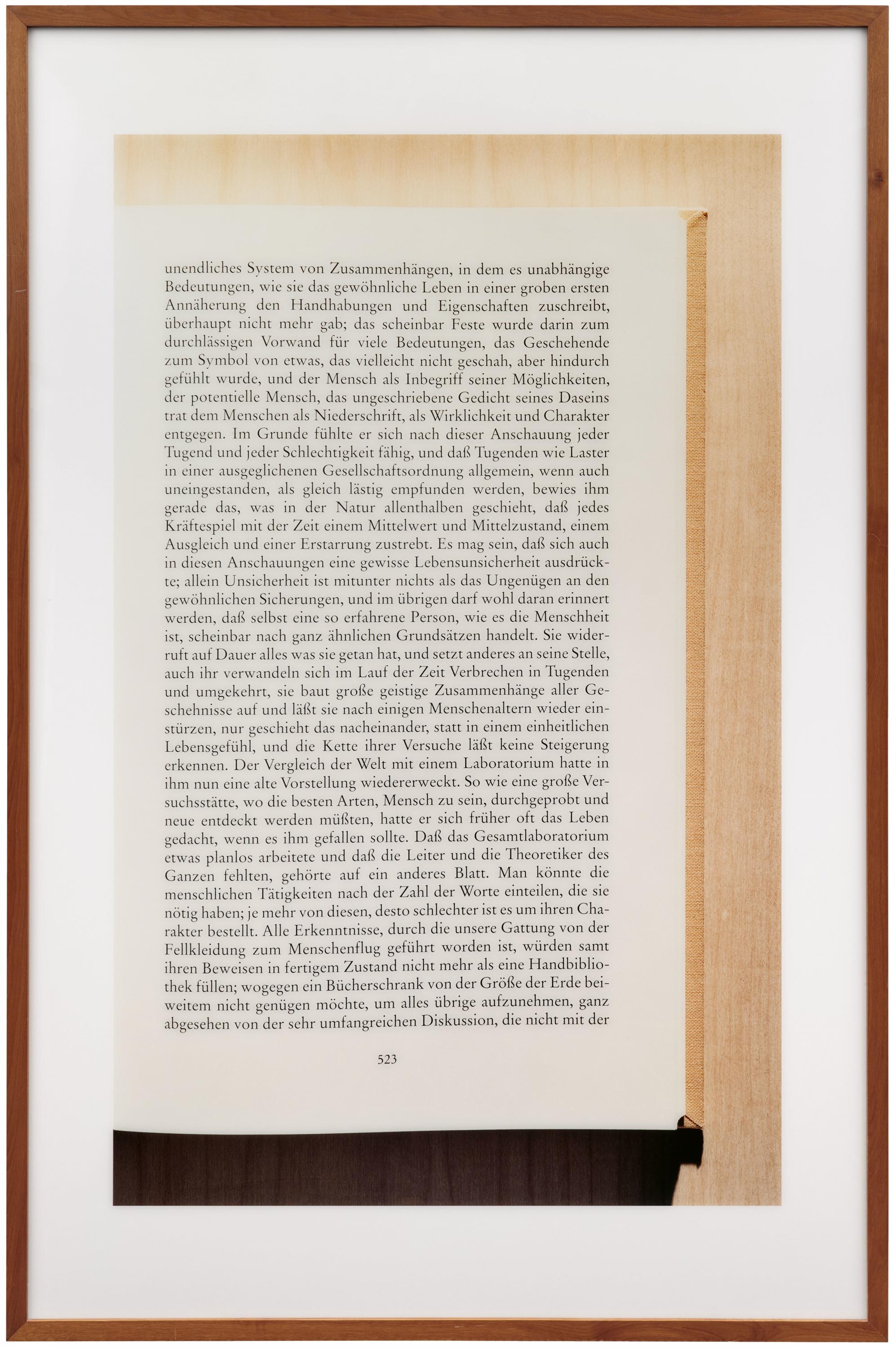 Andreas Gursky - Ohne Titel XII Musil I, 82113-8, Van Ham Kunstauktionen