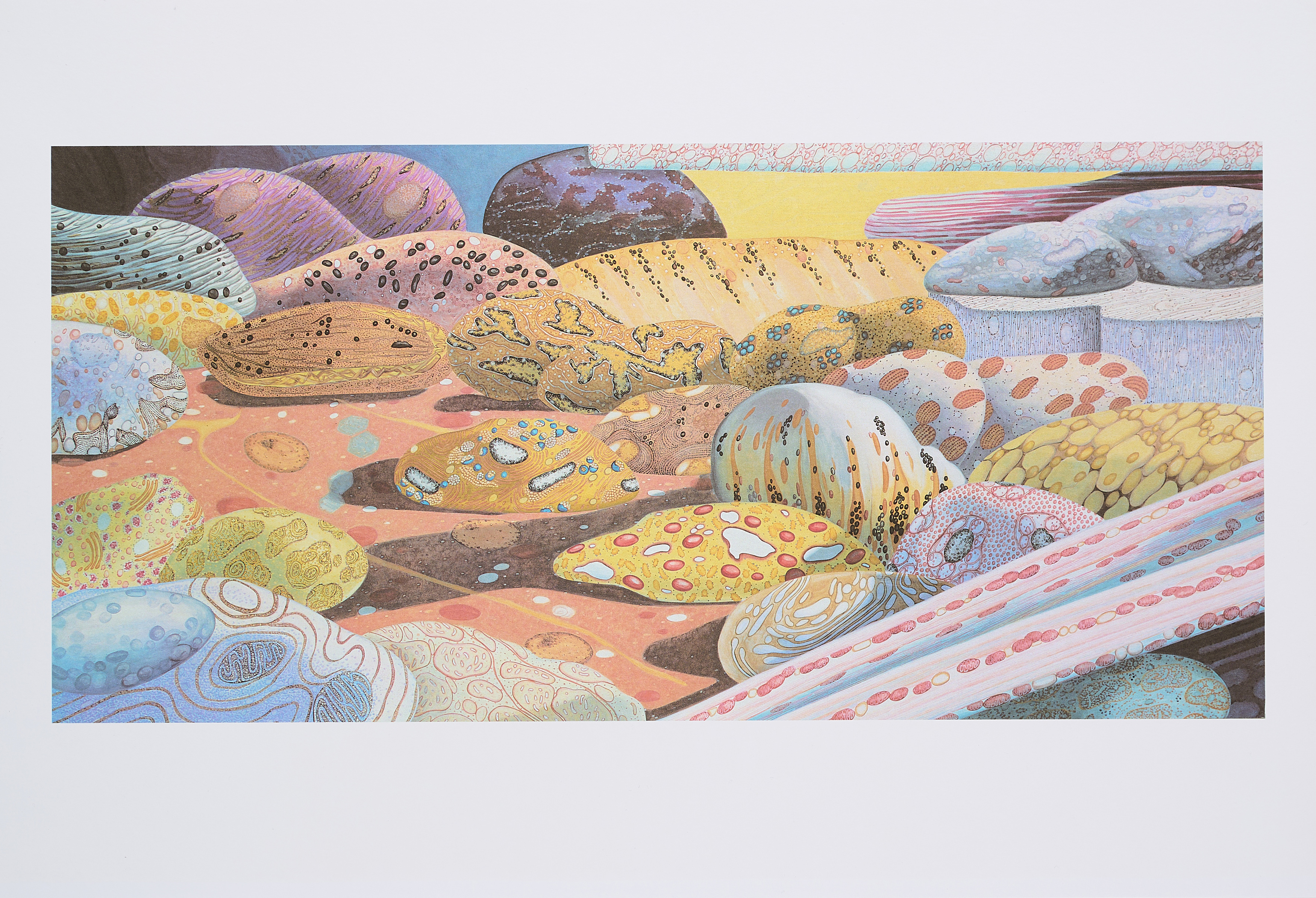 Corinne Wasmuht - Ohne Titel ZellenSand Aus ars viva 9697, 80374-632, Van Ham Kunstauktionen