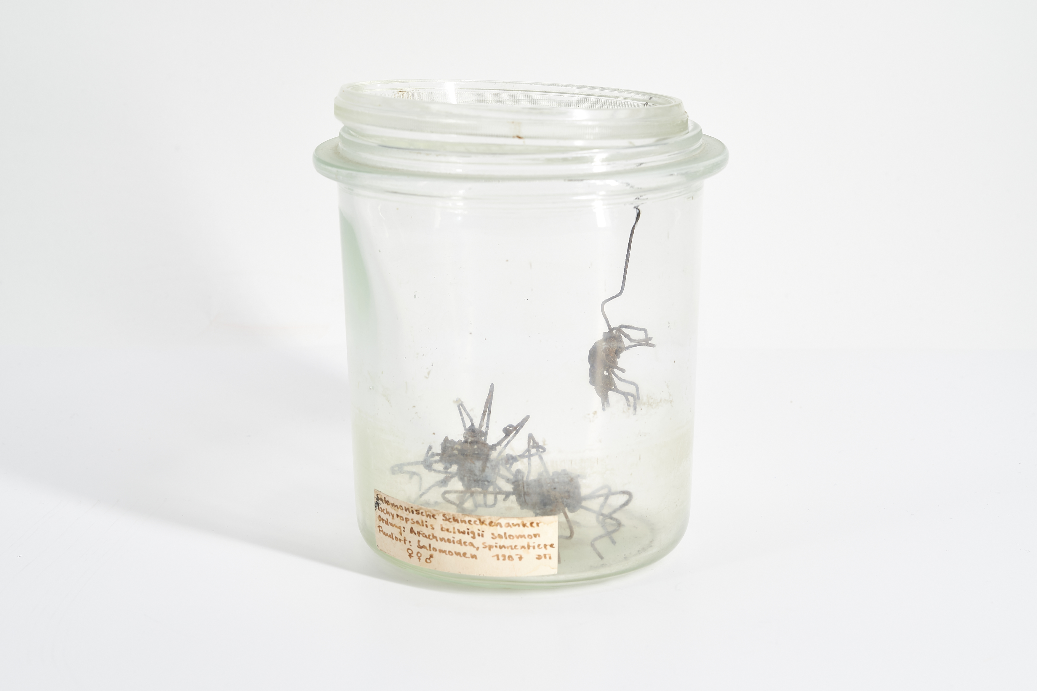 Dana Meyer - Salomonische Schneckenanker, 75021-29, Van Ham Kunstauktionen