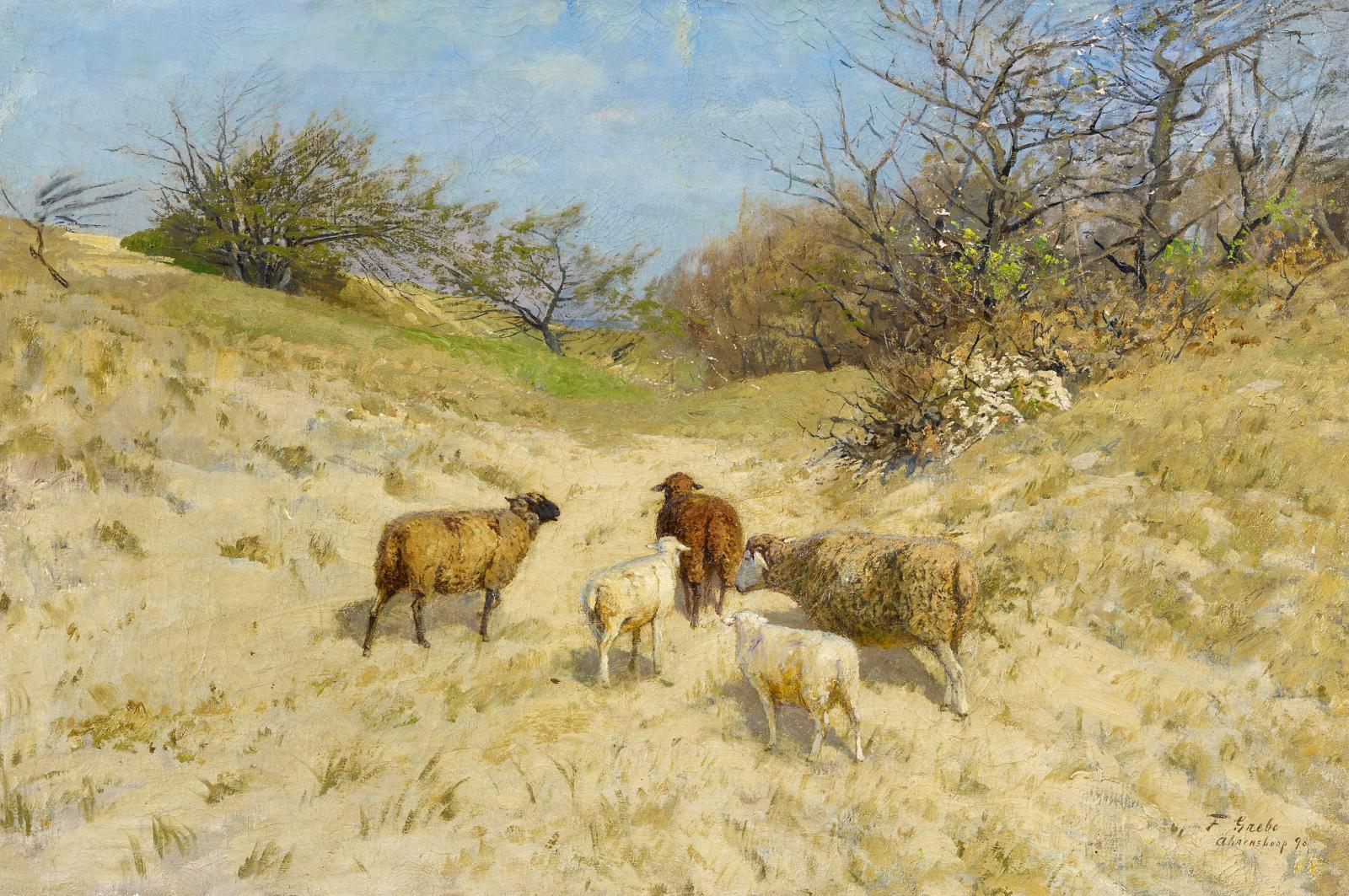 Fritz Grebe - Schafe im Fruehling in den Duenen bei Ahrenshoop, 64140-1, Van Ham Kunstauktionen