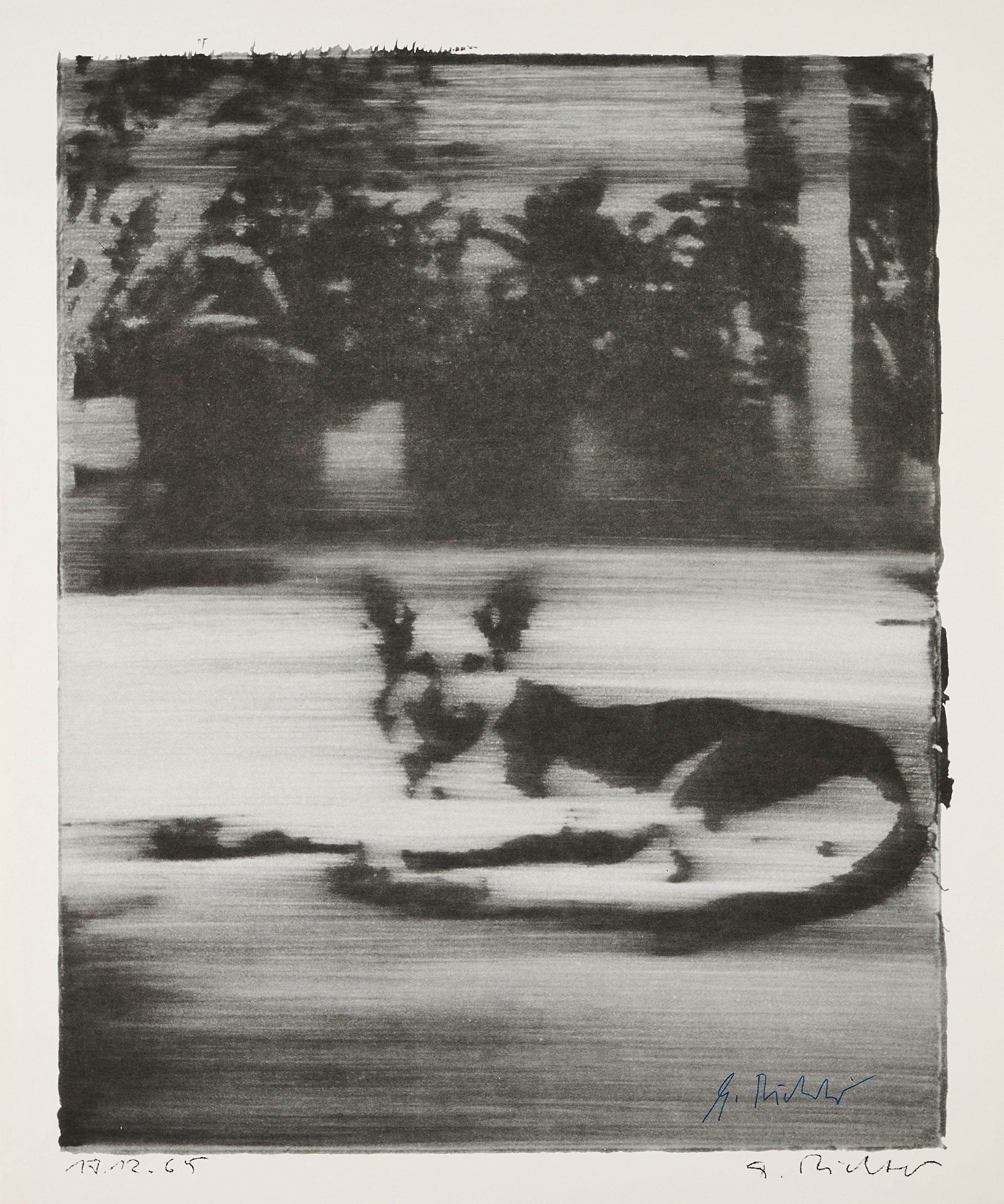 Gerhard Richter - Schaeferhund, 77576-24, Van Ham Kunstauktionen