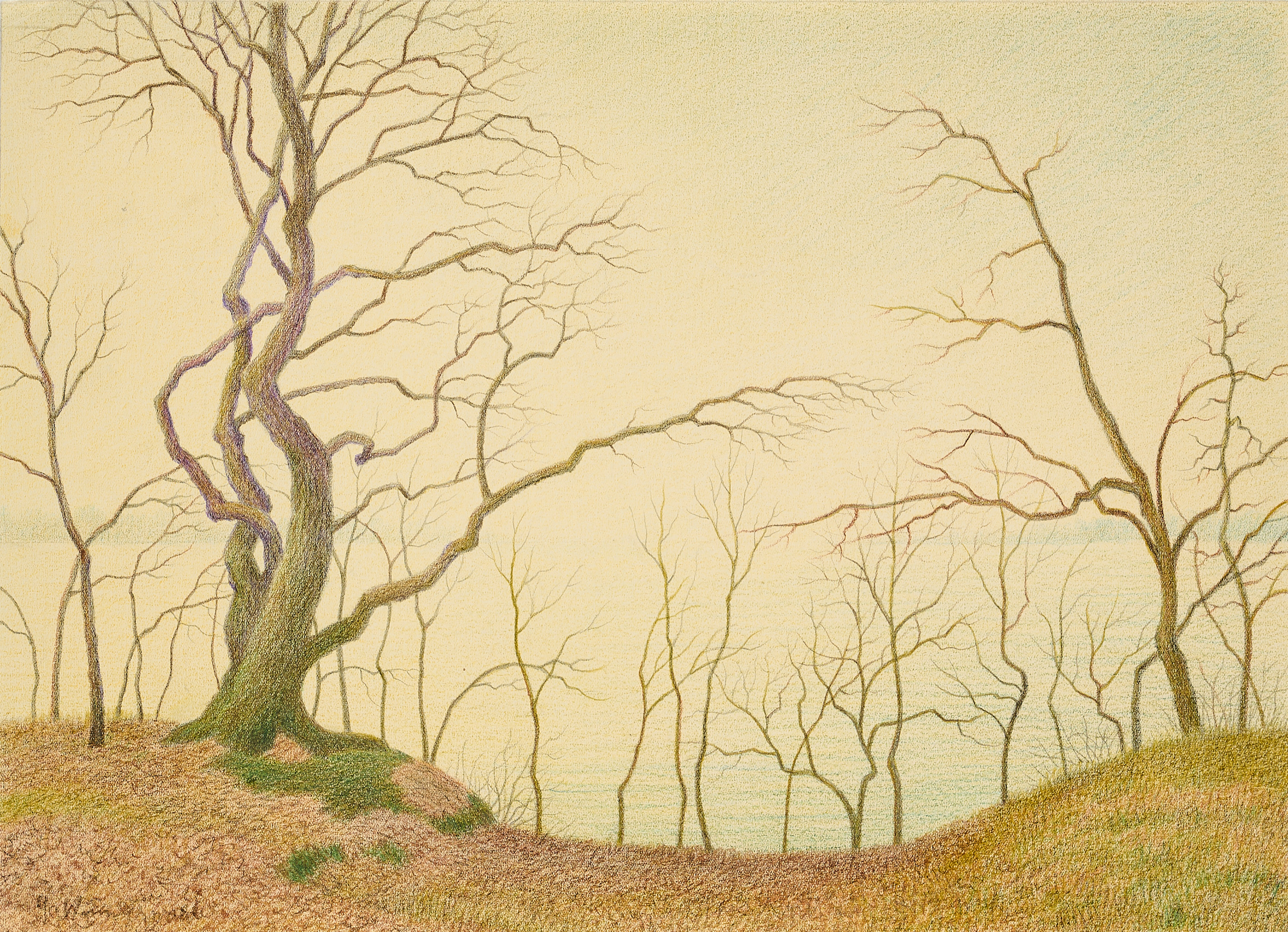 Gustav Wunderwald - Ohne Titel, 79527-530, Van Ham Kunstauktionen