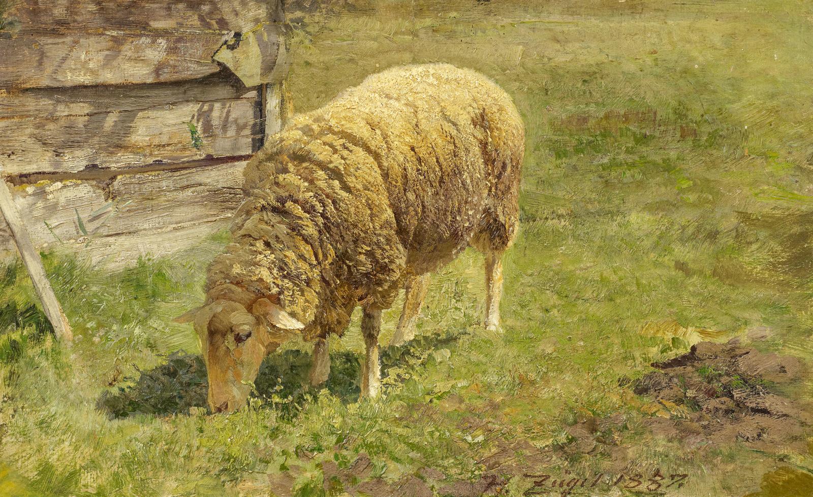 Heinrich von Zuegel - Weidendes Schaf, 57020-1, Van Ham Kunstauktionen