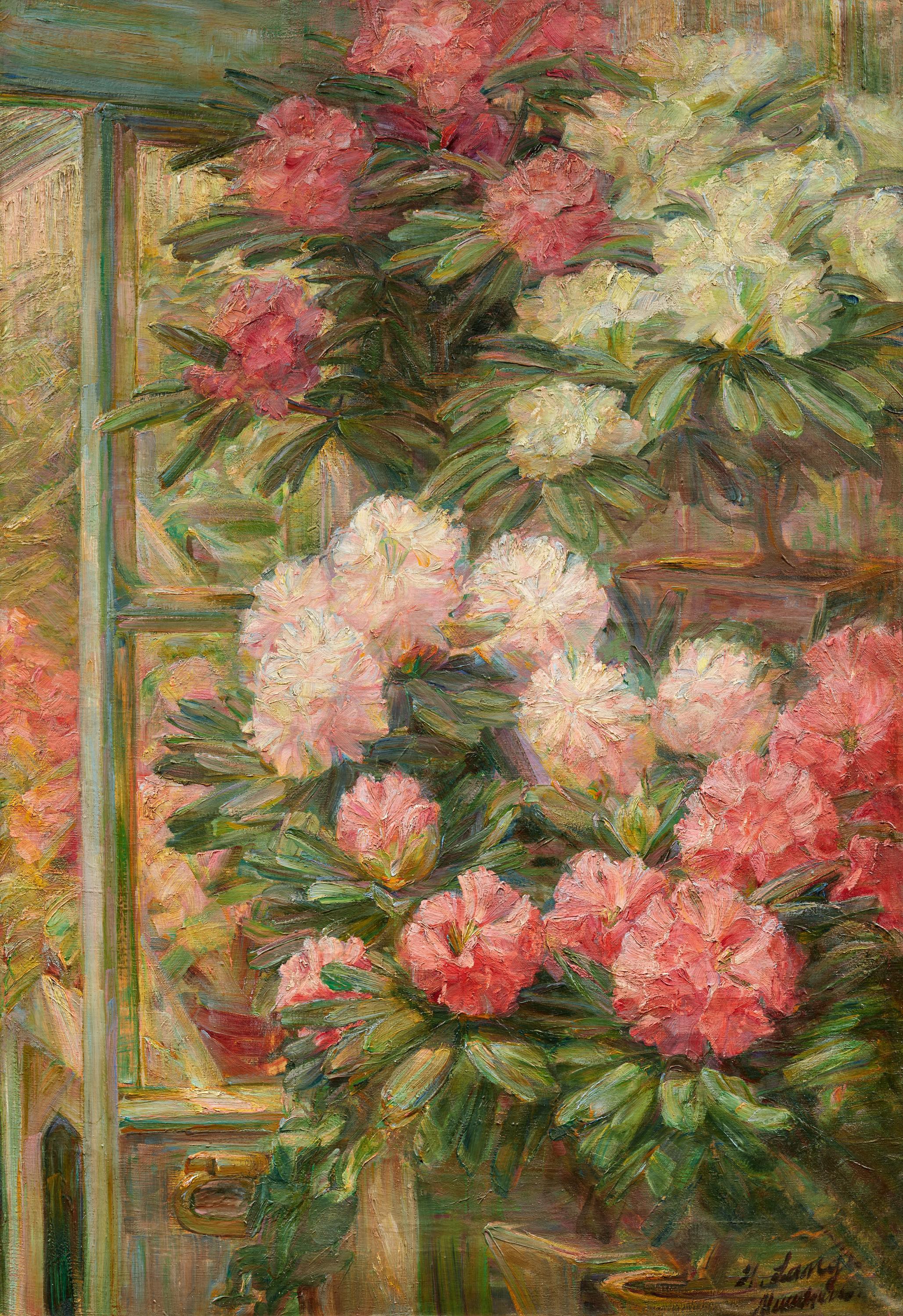 Helene Petraschek-Lange - Rhododendron im koeniglichen Wintergarten in Muenchen, 81802-2, Van Ham Kunstauktionen