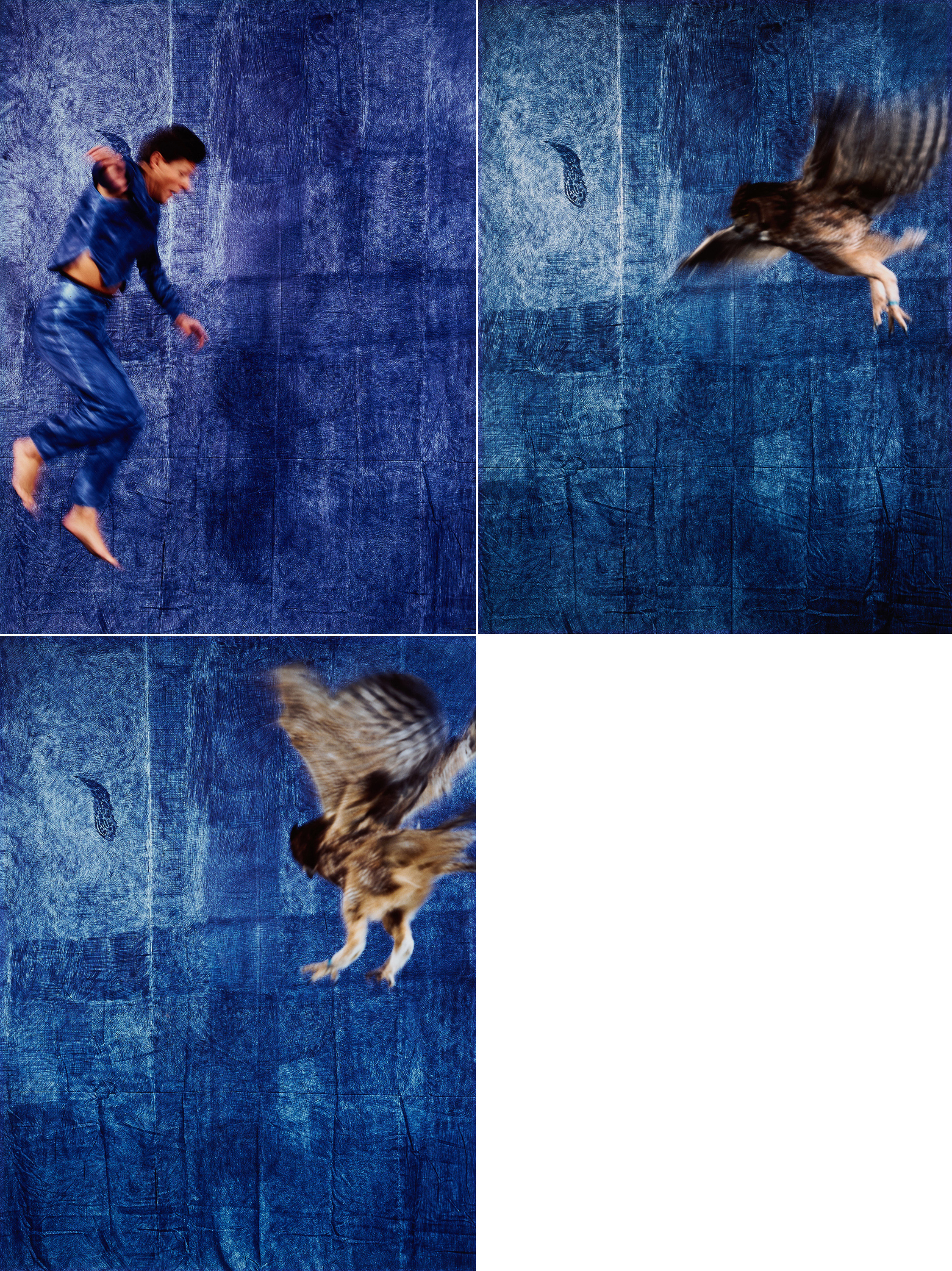 Jan Fabre - Konvolut von 3 Fotografien, 81194-1, Van Ham Kunstauktionen