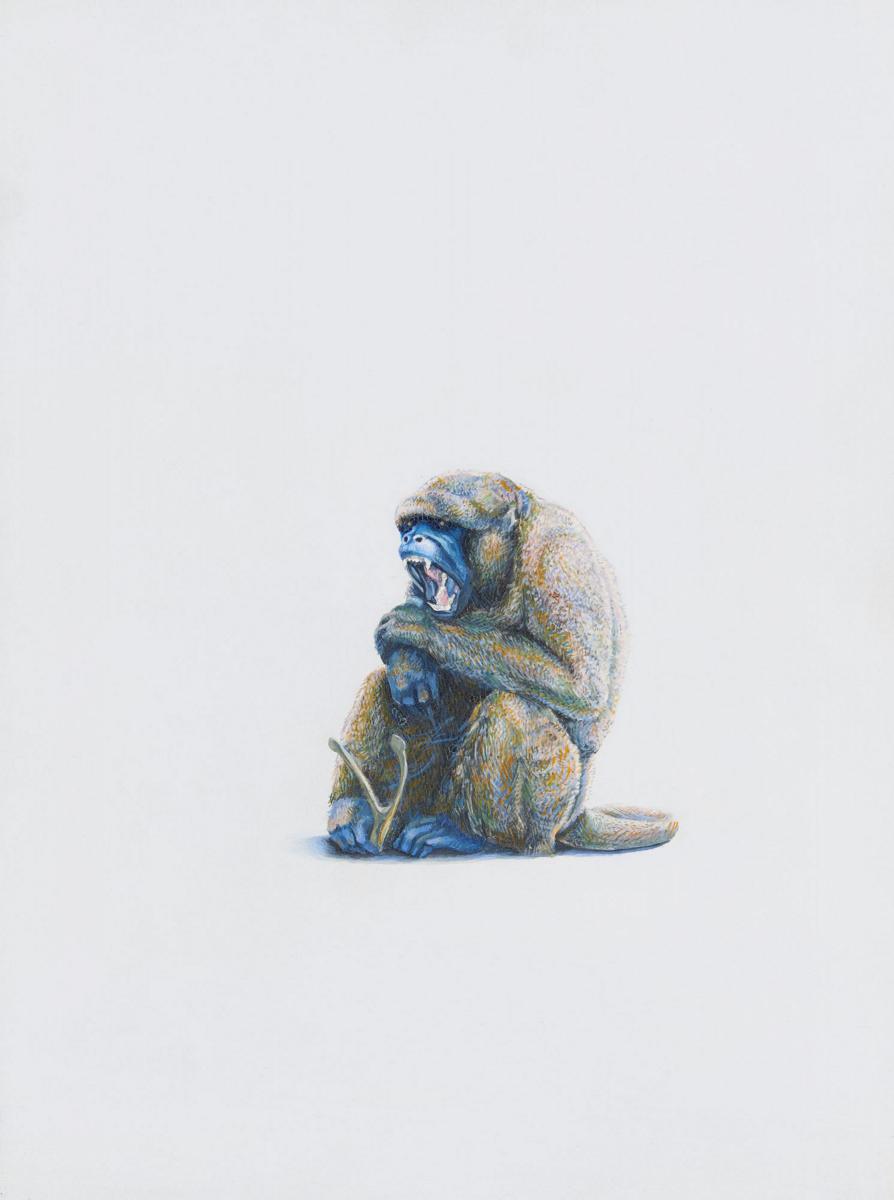 Joe Biel - Monkey Wishbone, 300001-461, Van Ham Kunstauktionen