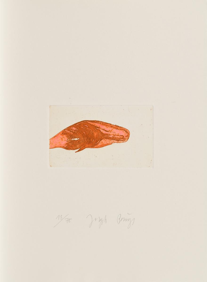 Joseph Beuys - Meerengel Sperm-Wal, 64412-19, Van Ham Kunstauktionen