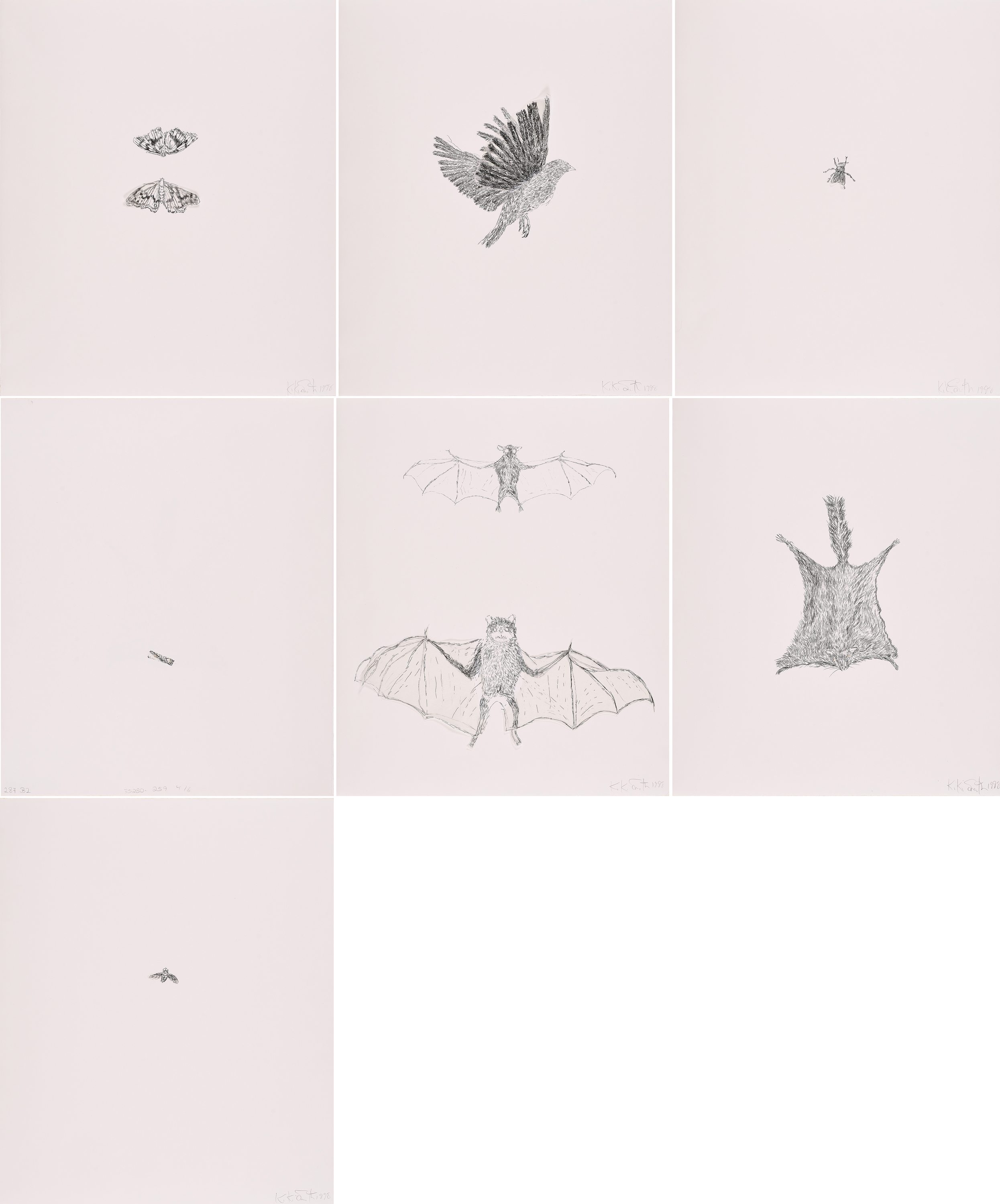 Kiki Smith - bee squirrel moth bird fly und bat, 75280-259, Van Ham Kunstauktionen