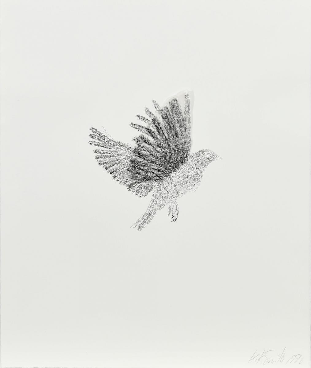 Kiki Smith - Bird, 63168-3, Van Ham Kunstauktionen