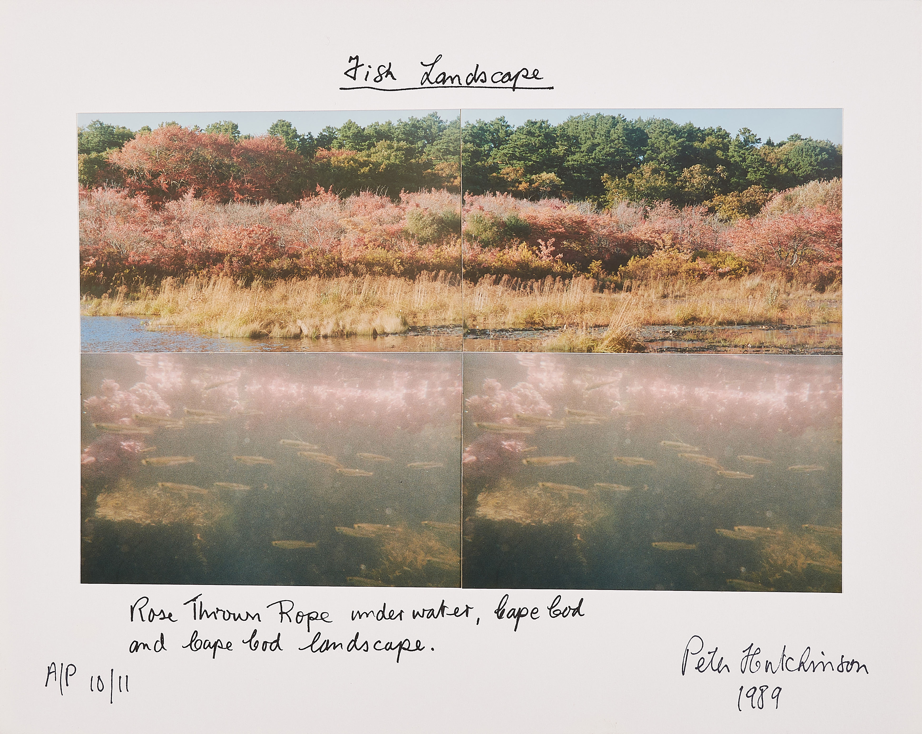 Peter Arthur Hutchinson - Fish Landscape, 75280-317, Van Ham Kunstauktionen