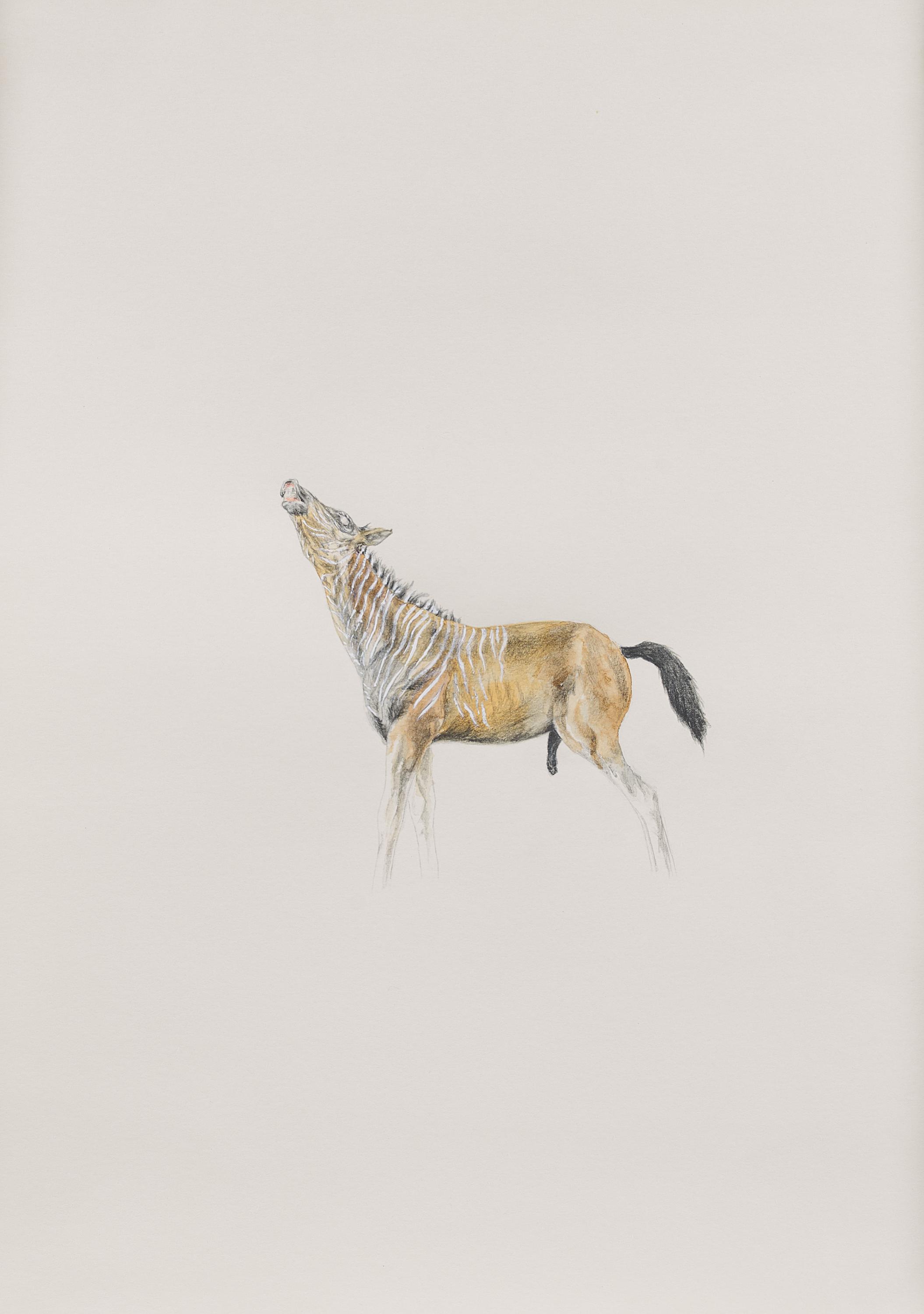 Rachel Goodyear - Lonely Pony Quagga, 68003-463, Van Ham Kunstauktionen