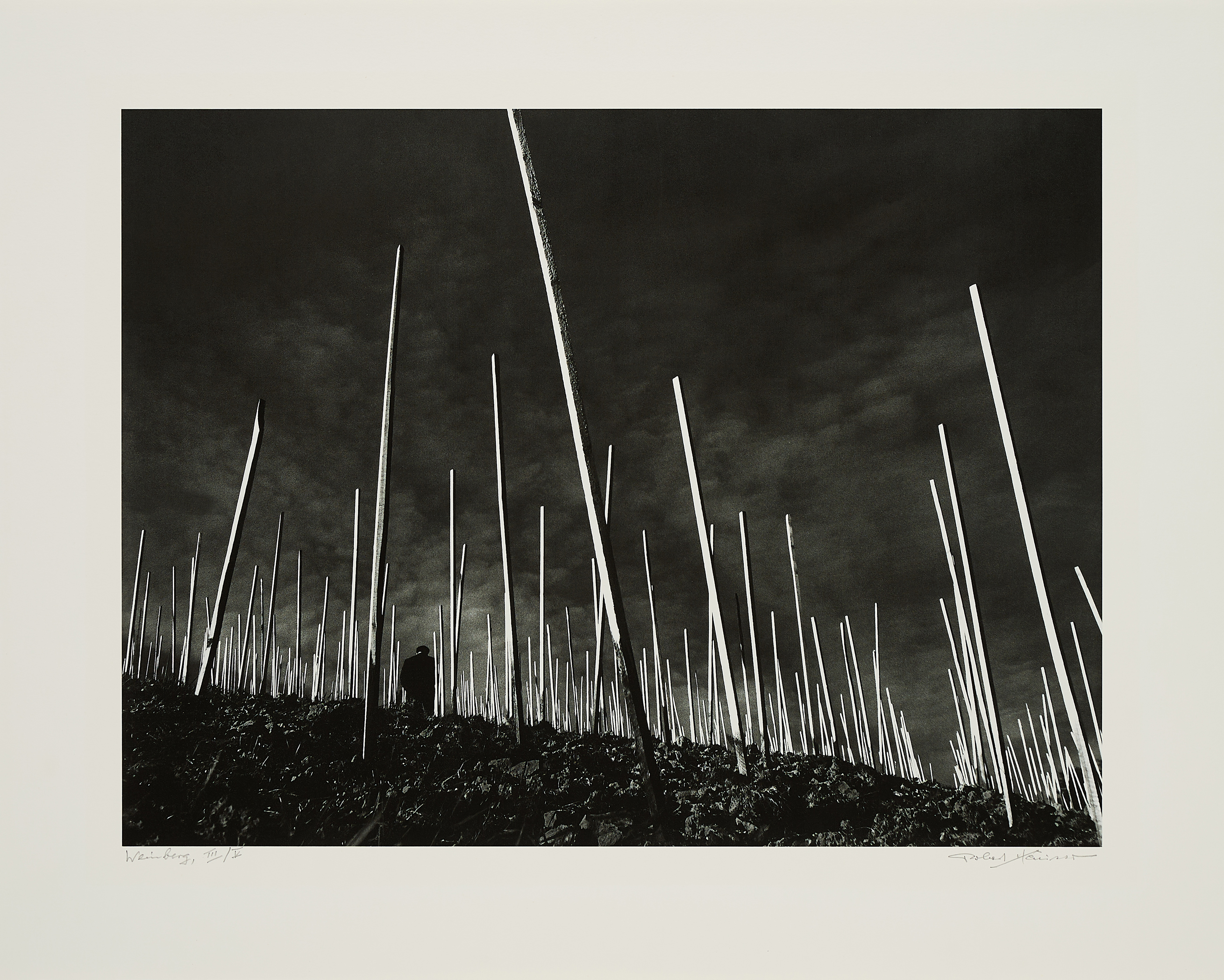 Robert Haeusser - Weinberg, 80374-187, Van Ham Kunstauktionen