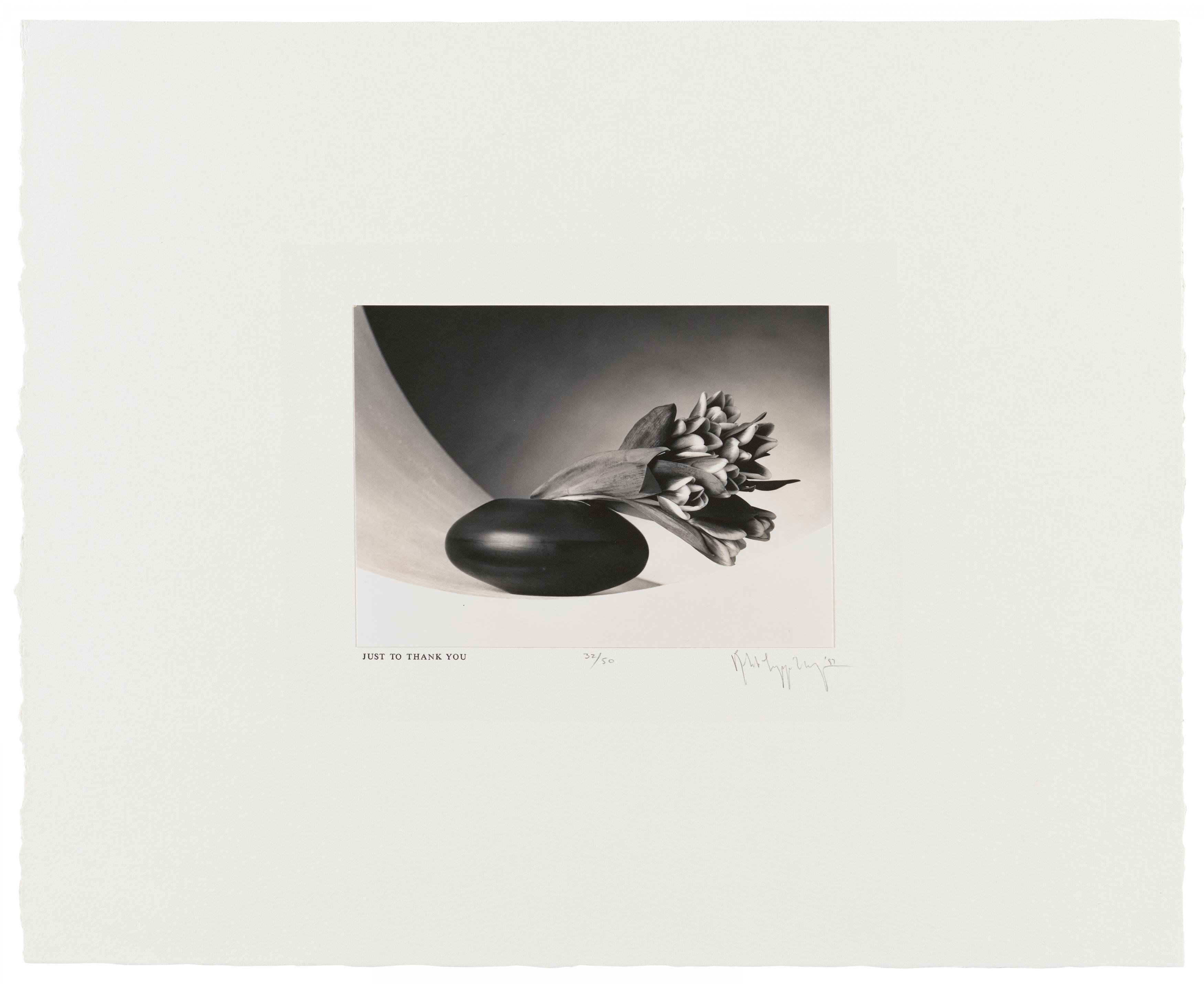 Robert Mapplethorpe - Tulips Just to Thank You, 82008-1116, Van Ham Kunstauktionen