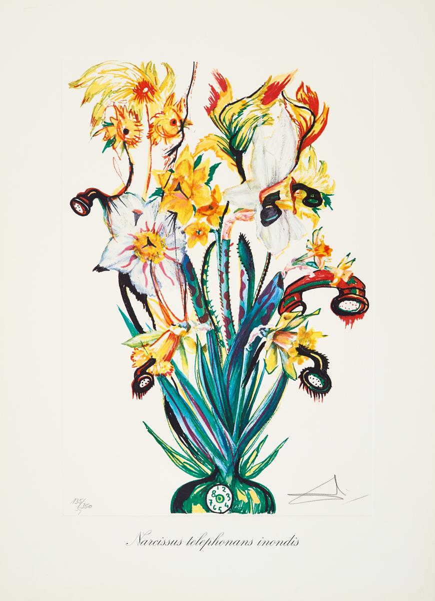 Salvador Dali - Auktion 337 Los 526, 50303-67, Van Ham Kunstauktionen