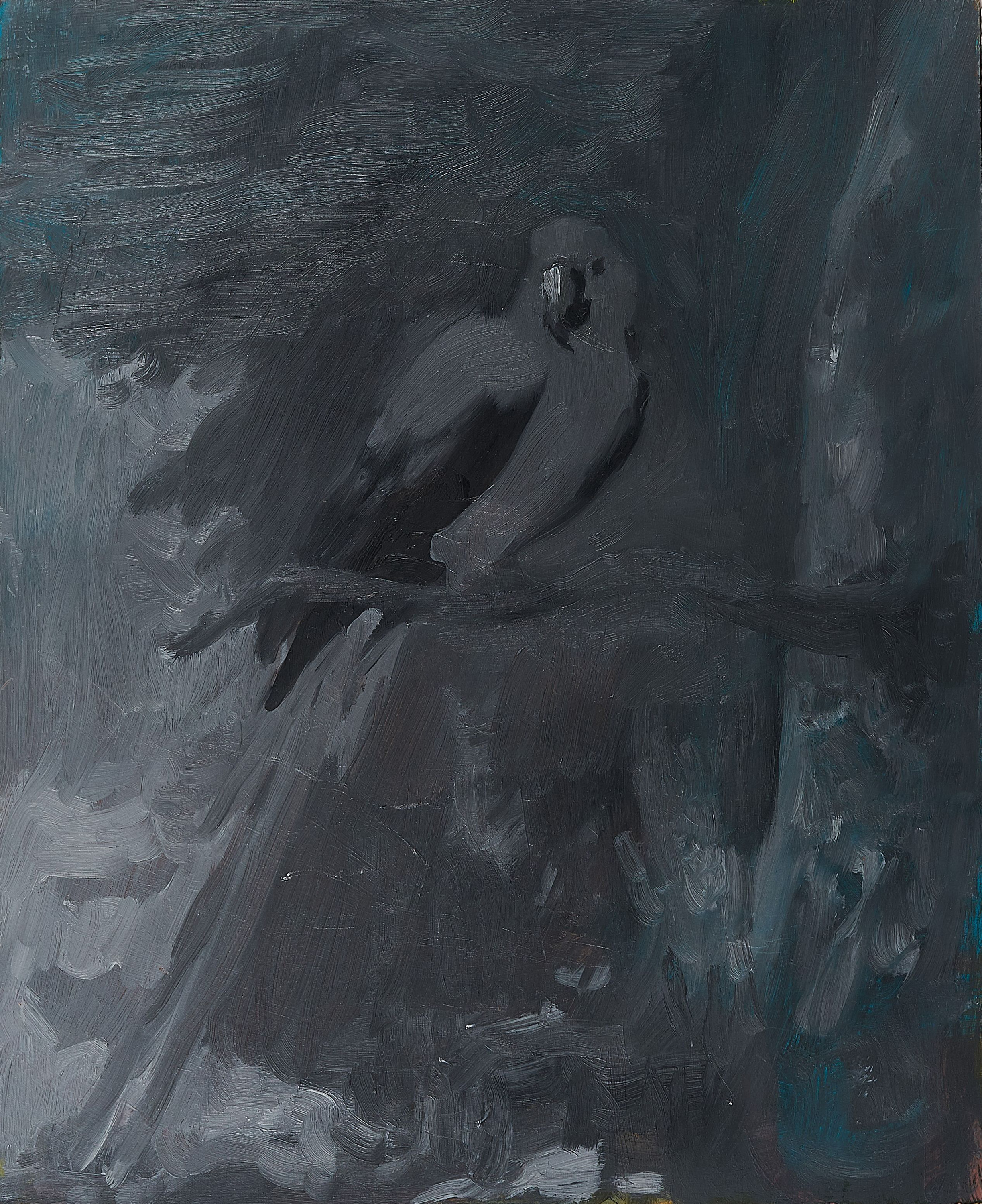 Tom Ellis - The Red Macaw V2, 300001-1217, Van Ham Kunstauktionen