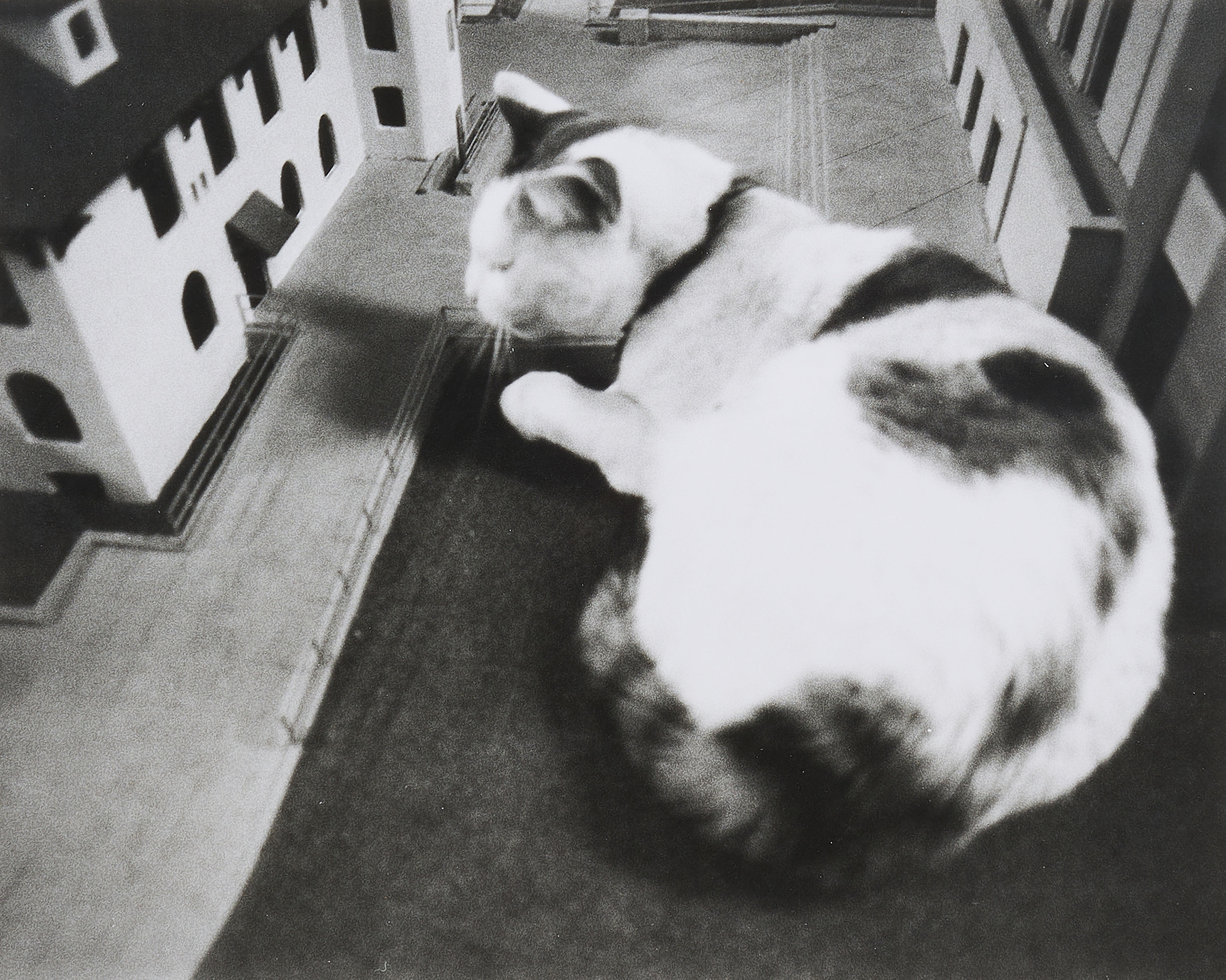 Vito Acconci - No one in the Plaza, 73015-1, Van Ham Kunstauktionen