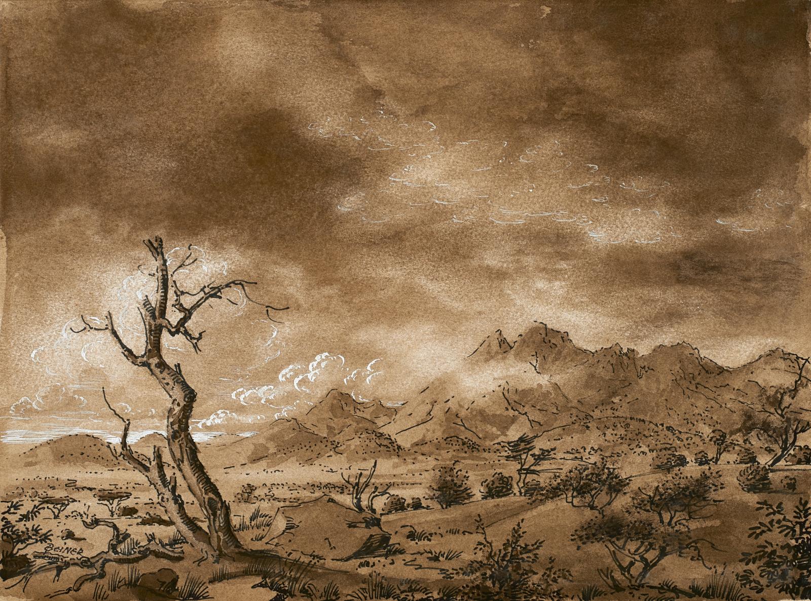 Ohne Titel Afrikanische Landschaft Von Werner Peiner Kaufen Verkaufen Van Ham Kunstauktionen