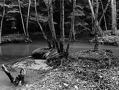 Albert Renger-Patzsch - Auktion 307 Los 1632, 47488-5, Van Ham Kunstauktionen