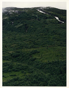 Axel Huette - FurkaRealp, 65180-8, Van Ham Kunstauktionen