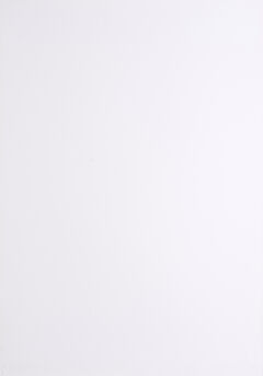 Otto Piene - Schwarzer Sonnentau, 73851-6, Van Ham Kunstauktionen