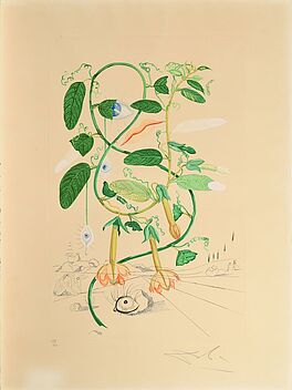 Salvador Dali - Cobea Pisum sensuale, 61174-107, Van Ham Kunstauktionen