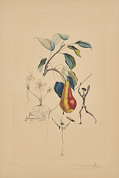 Salvador Dali - Poir Don Quichotte Aus Flordali Les Fruits, 70163-4, Van Ham Kunstauktionen