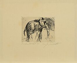 Lovis Corinth - Elefant, 65373-2, Van Ham Kunstauktionen