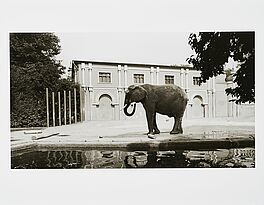 Candida Hoefer - Zoologischer Garten Koeln, 73012-18, Van Ham Kunstauktionen