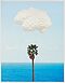 John Baldessari - Brain Cloud With Seascape and Palm Tree, 76080-2, Van Ham Kunstauktionen