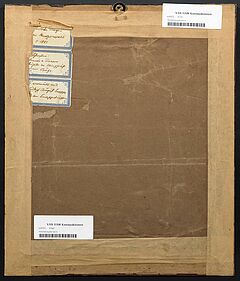 Deutscher Meister - Auktion 407 Los 490, 60923-47, Van Ham Kunstauktionen