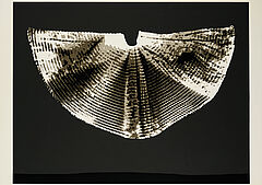 Heinz Mack - Licht und Schattenfluegel, 81425-7, Van Ham Kunstauktionen