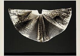 Heinz Mack - Licht und Schattenfluegel, 81425-7, Van Ham Kunstauktionen