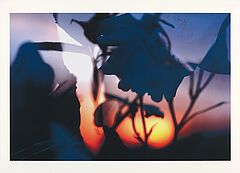 Auktion 323 Los 1267, 52051-2, Van Ham Kunstauktionen