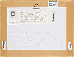 Dieter Roth - Trauriges Taschenzimmer, 82000-358, Van Ham Kunstauktionen