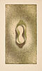 Max Ernst - Aus Max Ernst Maximiliana ou LExercise illegal de lAstronomie, 73350-35, Van Ham Kunstauktionen