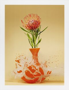 Martin Klimas - Ohne Titel Protea nutan, 70001-765, Van Ham Kunstauktionen