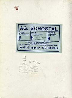 Dr Paul Wolff - Auktion 301 Los 1396, 46976-17, Van Ham Kunstauktionen