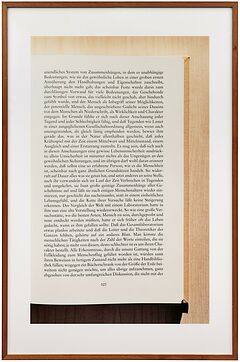 Andreas Gursky - Ohne Titel XII Musil I, 82113-8, Van Ham Kunstauktionen