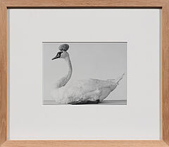 Bernadette Lahmer - Ohne Titel Schwan mit Stein, 79500-317, Van Ham Kunstauktionen
