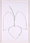 Ellsworth Kelly - String Bean Leaves I Haricot Vert I, 76000-550, Van Ham Kunstauktionen