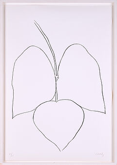 Ellsworth Kelly - String Bean Leaves I Haricot Vert I, 76000-550, Van Ham Kunstauktionen