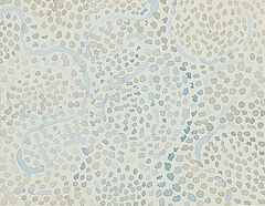 Guenther Uecker - Luft, 69276-3, Van Ham Kunstauktionen