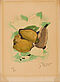 Georges Braque - Les citrons Aus Lettera amorosa, 75355-3, Van Ham Kunstauktionen