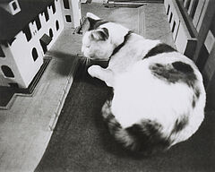 Vito Acconci - No one in the Plaza, 73015-1, Van Ham Kunstauktionen