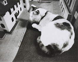 Vito Acconci - No one in the Plaza, 73015-1, Van Ham Kunstauktionen