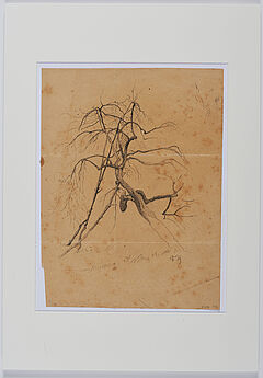 Friedrich Kallmorgen - Konvolut aus zwei Naturstudien Baumstudie Studie zu Papageientulpen, 69447-99, Van Ham Kunstauktionen