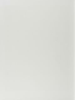 Tilo Baumgaertel - Nachtgarten, 300002-155, Van Ham Kunstauktionen