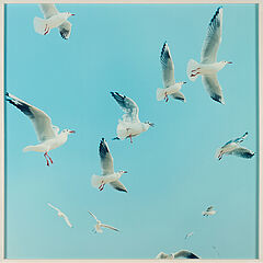 Rinko Kawauchi - Aus Utatane, 81351-50, Van Ham Kunstauktionen