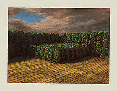 Markus Matthias Krueger - Schonung, 300002-2579, Van Ham Kunstauktionen